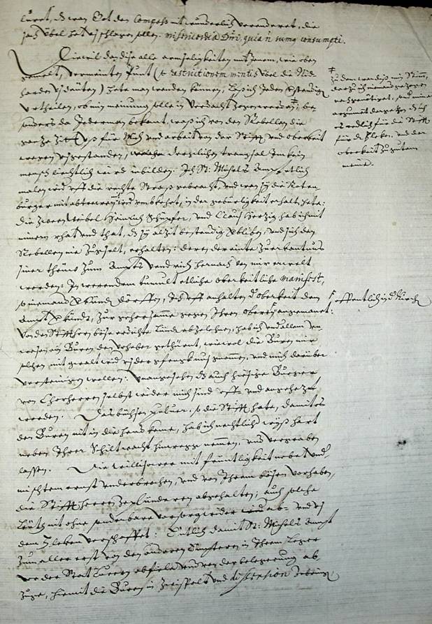 Bauernkrieg 1653: Rechtfertigung des Beromünsterer Propstes Wilhelm Meyer nach 1653 - Seite 5